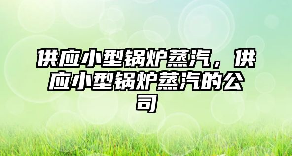 供應(yīng)小型鍋爐蒸汽，供應(yīng)小型鍋爐蒸汽的公司