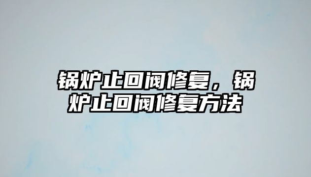 鍋爐止回閥修復，鍋爐止回閥修復方法