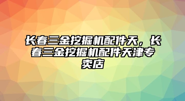 長春三金挖掘機(jī)配件天，長春三金挖掘機(jī)配件天津?qū)Ｙu店