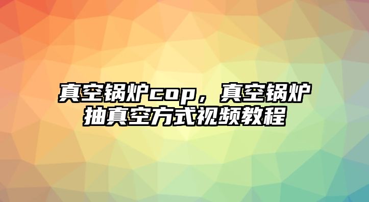 真空鍋爐cop，真空鍋爐抽真空方式視頻教程