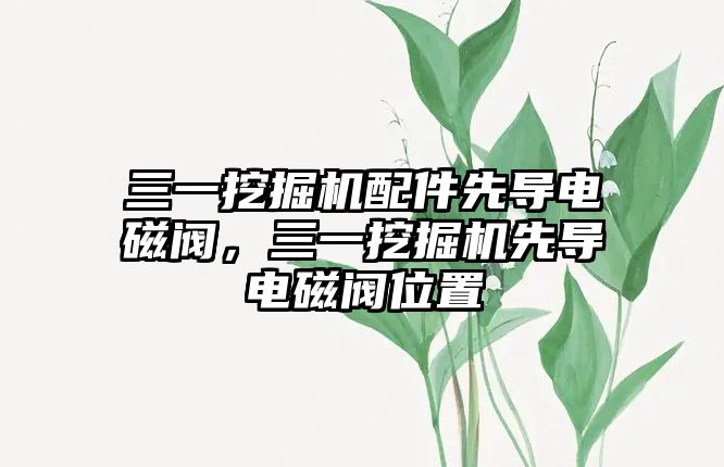 三一挖掘機配件先導電磁閥，三一挖掘機先導電磁閥位置