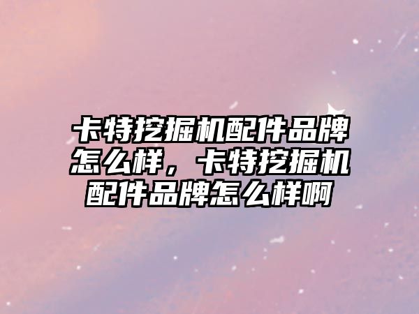 卡特挖掘機配件品牌怎么樣，卡特挖掘機配件品牌怎么樣啊