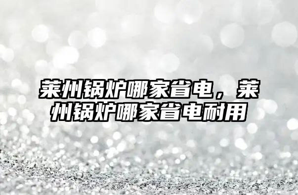 萊州鍋爐哪家省電，萊州鍋爐哪家省電耐用