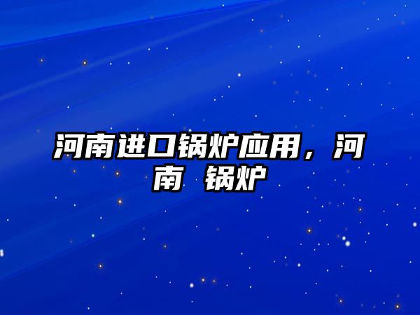 河南進(jìn)口鍋爐應(yīng)用，河南 鍋爐