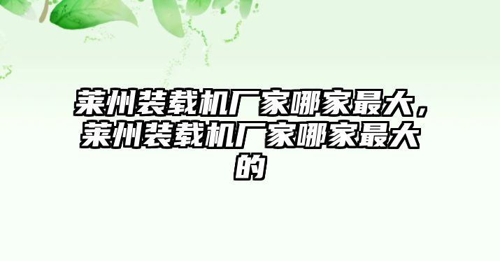 萊州裝載機(jī)廠家哪家最大，萊州裝載機(jī)廠家哪家最大的