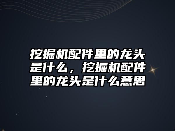 挖掘機(jī)配件里的龍頭是什么，挖掘機(jī)配件里的龍頭是什么意思