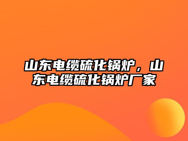 山東電纜硫化鍋爐，山東電纜硫化鍋爐廠家