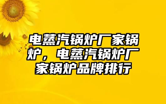 電蒸汽鍋爐廠家鍋爐，電蒸汽鍋爐廠家鍋爐品牌排行