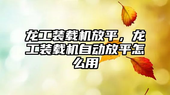 龍工裝載機放平，龍工裝載機自動放平怎么用