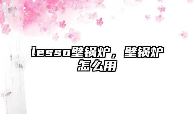 lesso壁鍋爐，壁鍋爐怎么用