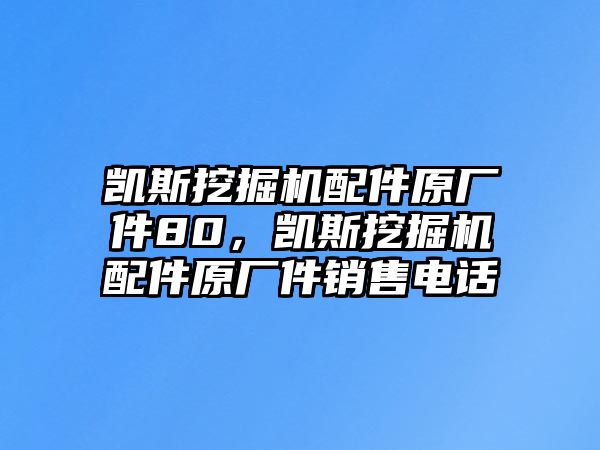 凱斯挖掘機(jī)配件原廠件80，凱斯挖掘機(jī)配件原廠件銷(xiāo)售電話