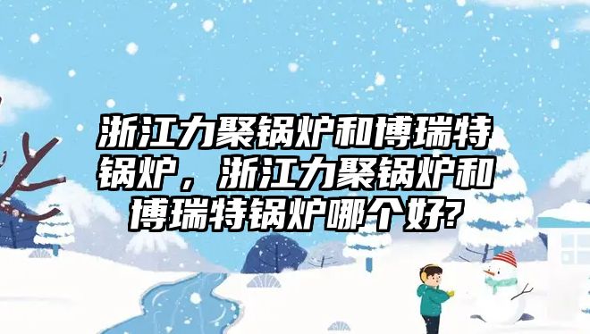 浙江力聚鍋爐和博瑞特鍋爐，浙江力聚鍋爐和博瑞特鍋爐哪個(gè)好?