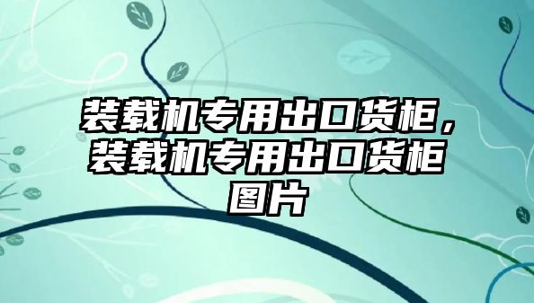 裝載機專用出口貨柜，裝載機專用出口貨柜圖片