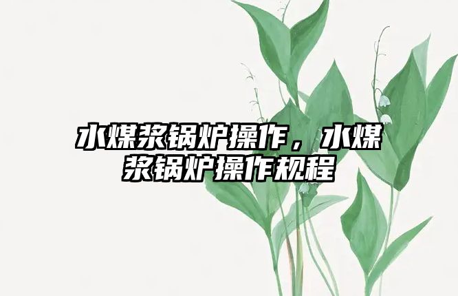 水煤漿鍋爐操作，水煤漿鍋爐操作規(guī)程