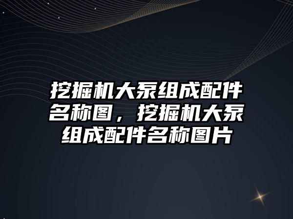 挖掘機大泵組成配件名稱圖，挖掘機大泵組成配件名稱圖片