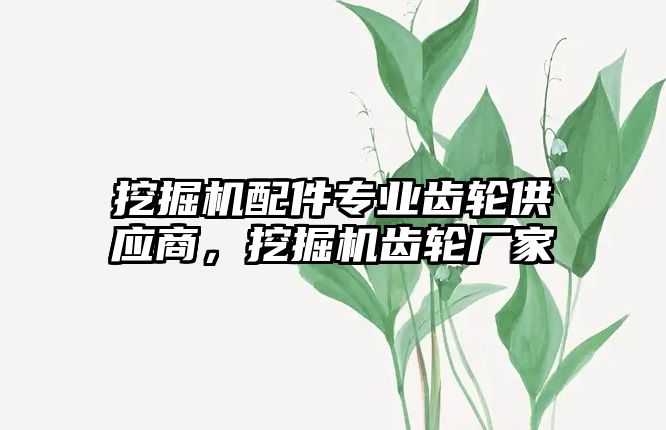 挖掘機配件專業(yè)齒輪供應(yīng)商，挖掘機齒輪廠家