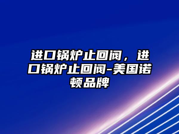 進(jìn)口鍋爐止回閥，進(jìn)口鍋爐止回閥-美國諾頓品牌