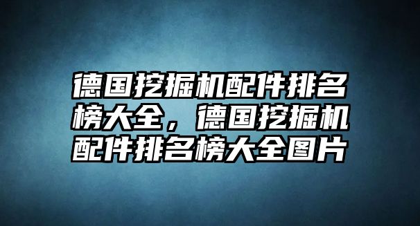 德國挖掘機(jī)配件排名榜大全，德國挖掘機(jī)配件排名榜大全圖片