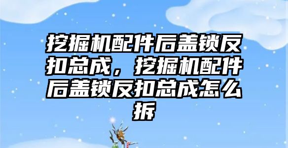 挖掘機(jī)配件后蓋鎖反扣總成，挖掘機(jī)配件后蓋鎖反扣總成怎么拆