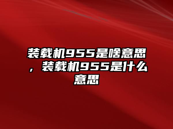 裝載機(jī)955是啥意思，裝載機(jī)955是什么意思