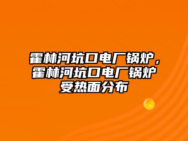 霍林河坑口電廠鍋爐，霍林河坑口電廠鍋爐受熱面分布