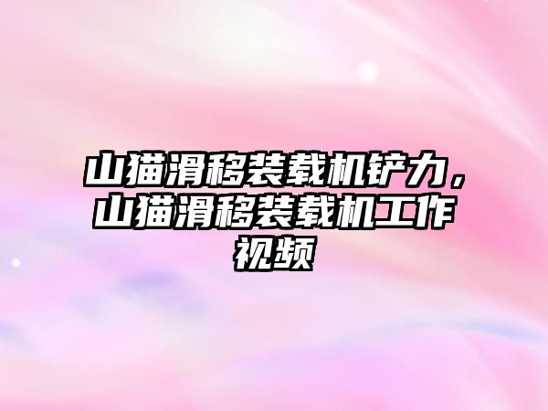 山貓滑移裝載機鏟力，山貓滑移裝載機工作視頻