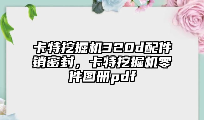 卡特挖掘機(jī)320d配件銷密封，卡特挖掘機(jī)零件圖冊pdf