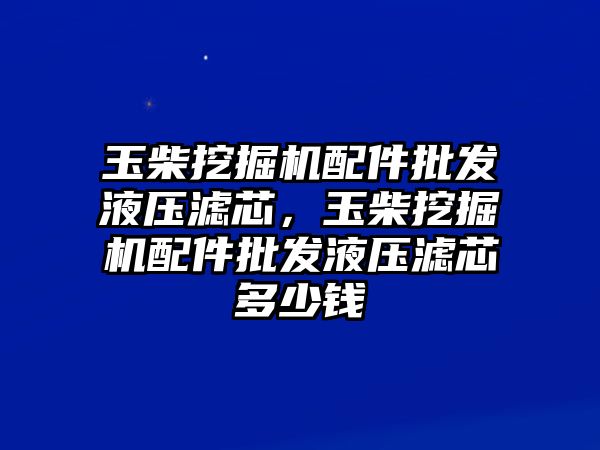 玉柴挖掘機配件批發(fā)液壓濾芯，玉柴挖掘機配件批發(fā)液壓濾芯多少錢