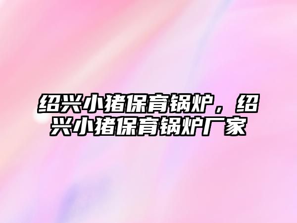 紹興小豬保育鍋爐，紹興小豬保育鍋爐廠家