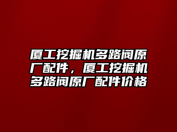 廈工挖掘機(jī)多路閥原廠配件，廈工挖掘機(jī)多路閥原廠配件價(jià)格