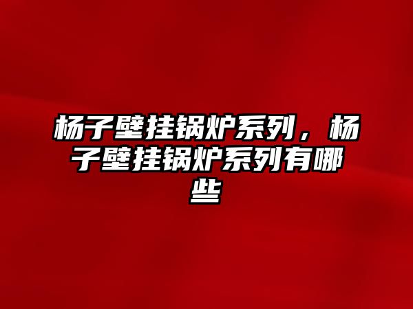 楊子壁掛鍋爐系列，楊子壁掛鍋爐系列有哪些