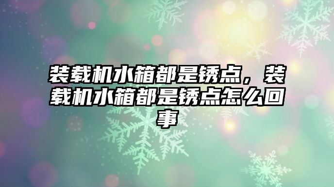 裝載機水箱都是銹點，裝載機水箱都是銹點怎么回事