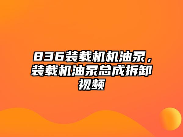 836裝載機機油泵，裝載機油泵總成拆卸視頻