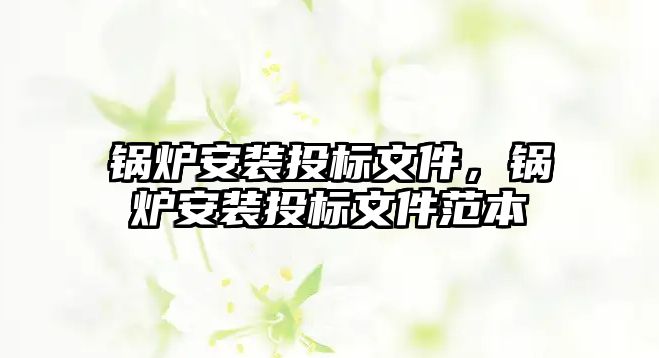 鍋爐安裝投標(biāo)文件，鍋爐安裝投標(biāo)文件范本