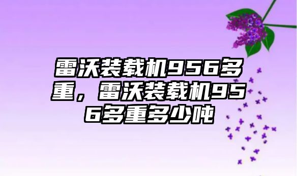 雷沃裝載機956多重，雷沃裝載機956多重多少噸