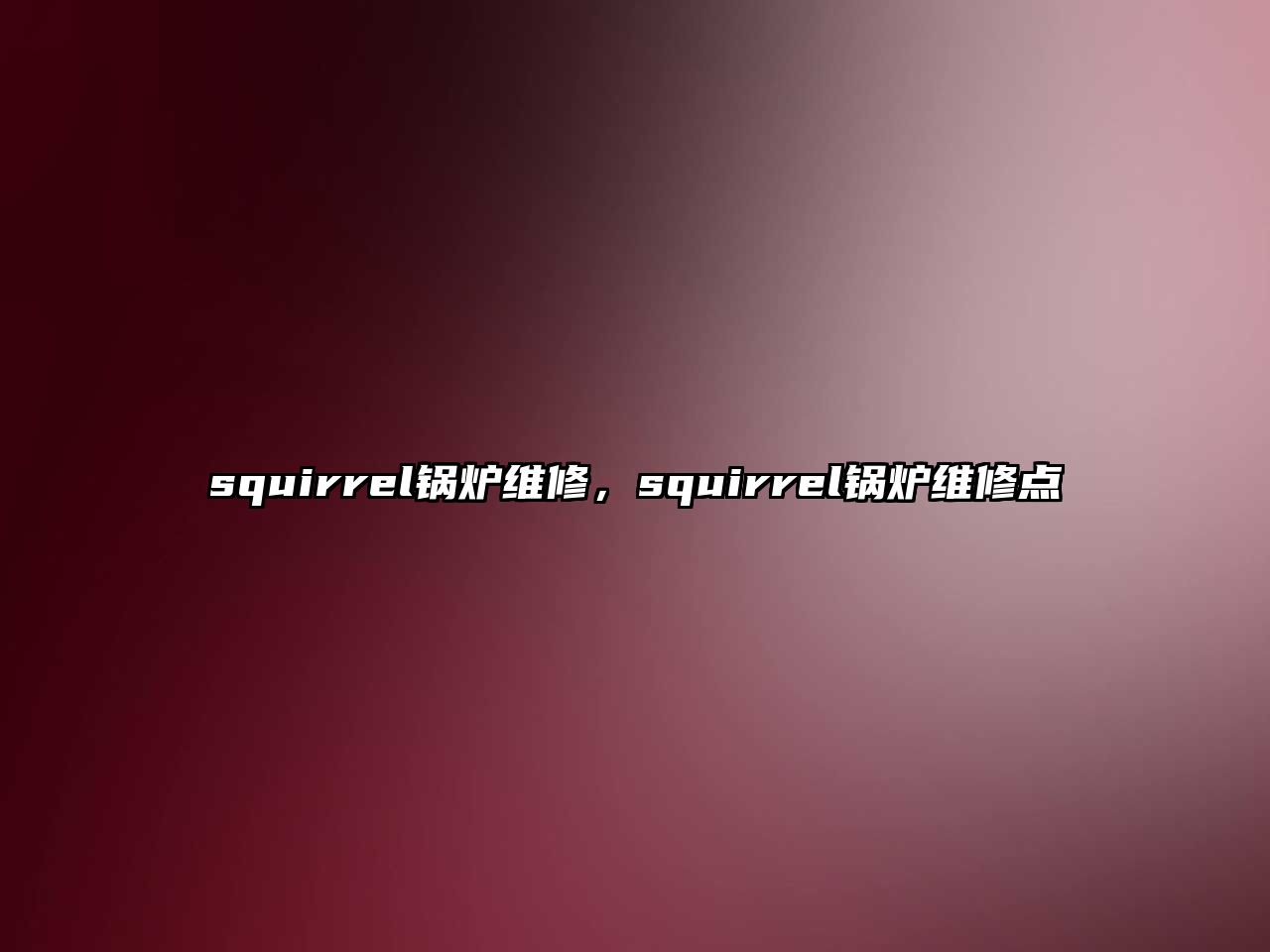 squirrel鍋爐維修，squirrel鍋爐維修點