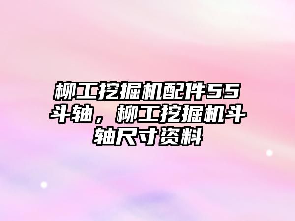 柳工挖掘機(jī)配件55斗軸，柳工挖掘機(jī)斗軸尺寸資料