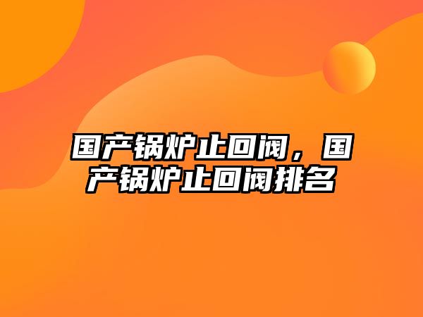 國產(chǎn)鍋爐止回閥，國產(chǎn)鍋爐止回閥排名