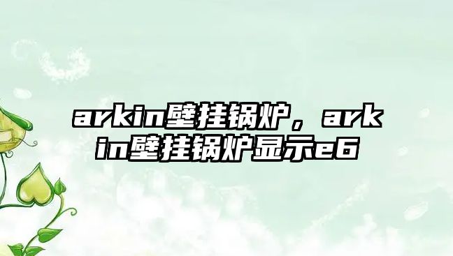 arkin壁掛鍋爐，arkin壁掛鍋爐顯示e6