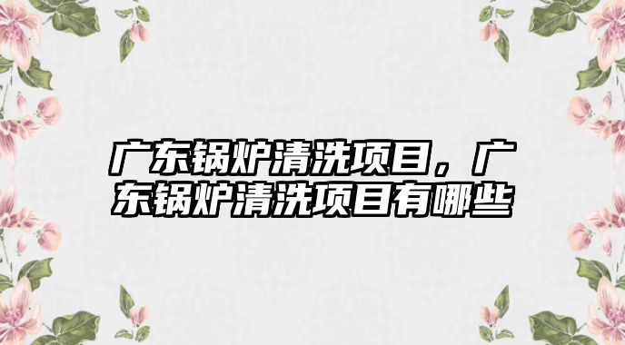 廣東鍋爐清洗項目，廣東鍋爐清洗項目有哪些