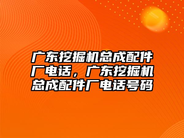 廣東挖掘機(jī)總成配件廠電話，廣東挖掘機(jī)總成配件廠電話號(hào)碼