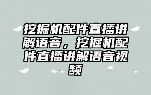 挖掘機配件直播講解語音，挖掘機配件直播講解語音視頻