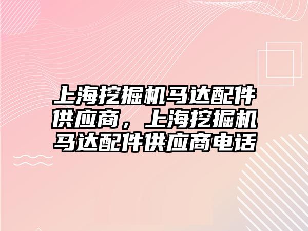 上海挖掘機馬達配件供應商，上海挖掘機馬達配件供應商電話