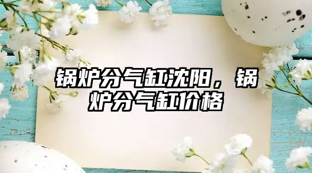 鍋爐分氣缸沈陽，鍋爐分氣缸價格