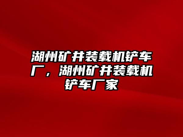 湖州礦井裝載機(jī)鏟車廠，湖州礦井裝載機(jī)鏟車廠家