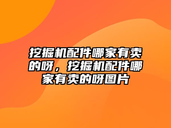 挖掘機配件哪家有賣的呀，挖掘機配件哪家有賣的呀圖片