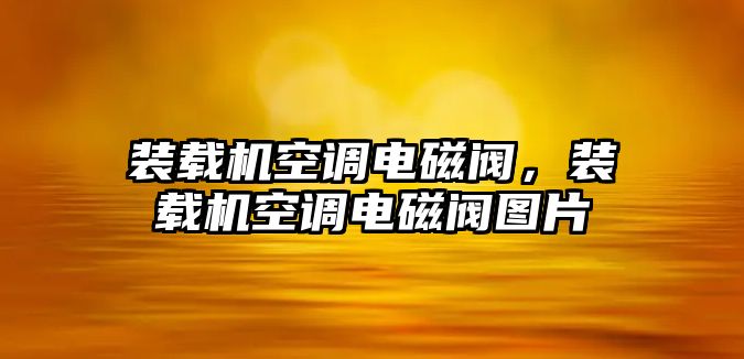 裝載機(jī)空調(diào)電磁閥，裝載機(jī)空調(diào)電磁閥圖片