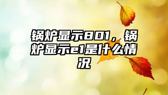 鍋爐顯示801，鍋爐顯示e1是什么情況