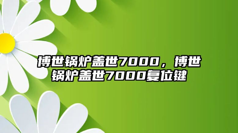 博世鍋爐蓋世7000，博世鍋爐蓋世7000復(fù)位鍵