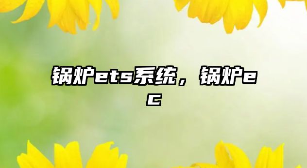 鍋爐ets系統(tǒng)，鍋爐ec